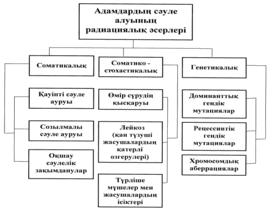 2 дәрежелі сәуле ауруы (орташа) 250 400 рад сәулелену дозасы кезінде болады. Жасырын мерзімі 1 апта. Ауру белгілері анық білінеді. Көп жағдайда адамдар уақытша жұмыс қабілетінен айрылады.