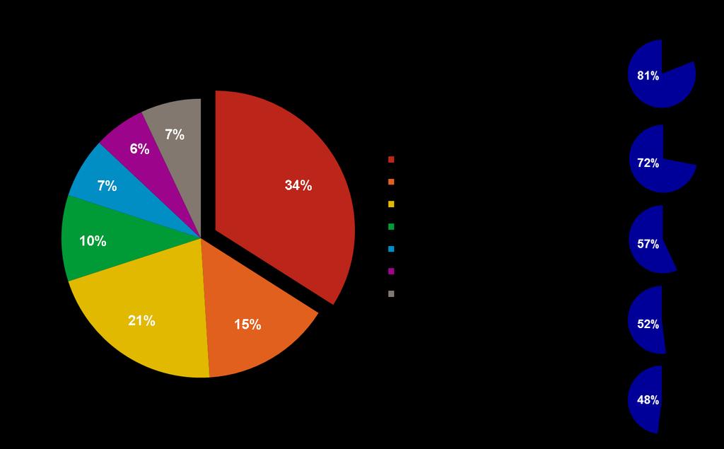 Type 2 Diabetes: 66% of European Mealtime Insulin Users