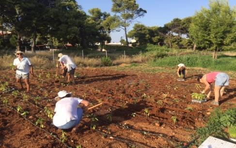 επιπρόσθετες λαϊκές αγορές της Αττικής Πρόγραμμα «Λαχανόκηπος του Μπορούμε»: 3 εθελοντικές δράσεις φύτευσης και άλλων αγροτικών εργασιών από εθελοντές εταιρειών, κοινωφελών φορέων