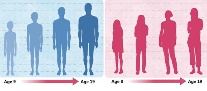 ΣΩΜΑΤΙΚΕΣ ΜΕΤΑΒΟΛΕΣ Κατά την διάρκεια της εφηβείας έφηβοι και των δυο φύλων παρατηρούν τις παρακάτω αλλαγές : τριχοφυΐα σε διάφορα μέρη του σώματος