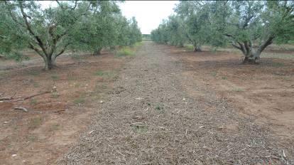 (Φωτογραφία από προσωπικό αρχείο)