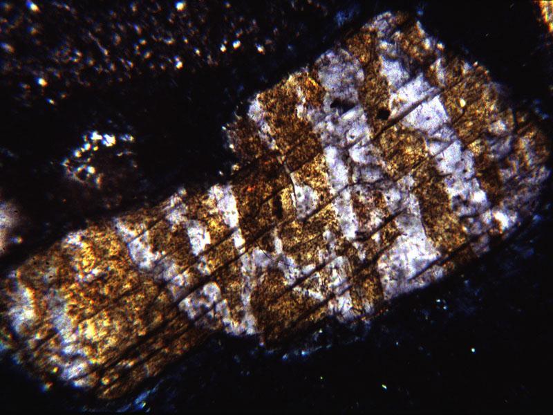 plutonica