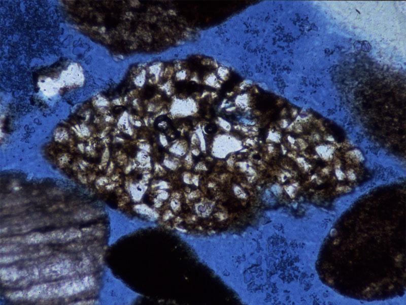 Fragment de siltit cu
