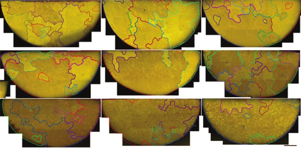 u h 16 u 46 9 D o ~NX;5&"XW {m"h> Fig. Metallographes of the transverse sections with different distances d from the position denoted by dashed lines in Fig.