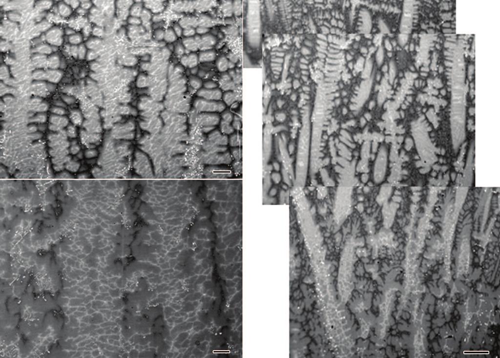 Ù 10 ËË Ó : ÐÅ TiAl ÐË ÅÐ Â 17 4» 40 K/cm É 160 K/cm Ñ À ÜÅ Fig.4 Microstructures of the specimens in IV zones shown in Fig.