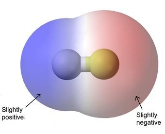 ); polară atomii participanţi sunt diferiţi; perechea de electroni de legătură este atrasă mai puternic de atomul mai electronegativ; densitatea norului electronic este mai mare în jurul atomului mai