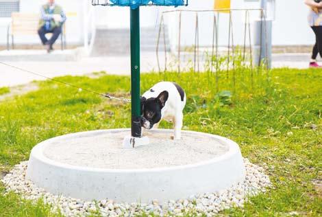 SN - STRANA - Veľmi krátke slovíčko, s ktorým sa stretávame čoraz častejšie. Najnovšie v podobe zaujímavého a podnetného čítania od autora Michala Hvoreckého.