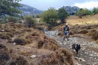 στο κοινό και υλοποιούν δράσεις ενημέρωσης, τόσο για τους πολίτες όσο και για στελέχη υπηρεσιών, κυνηγούς, κτηνοτρόφους, αγρότες, φιλοζωικά σωματεία και Περιβαλλοντικές ΜΚΟ.