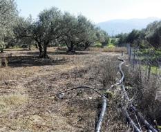 επαναλαμβανόμενους ς ανά καλλιεργητική περίοδο και μάλιστα αποκλειστικά με ένα ζιζανιοκτόνο (glyphosate), που οδήγησε ήδη στην