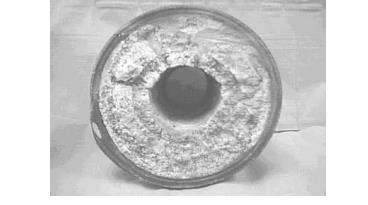 2.3 Στρουβίτης Ο στρουβίτης εξαένυδρο φωσφορικό αμμώνιο- είναι ένα λευκό ή σχεδόν λευκό κρυσταλλικό στερεό με χημικό τύπο MgΝΗ4PO4.