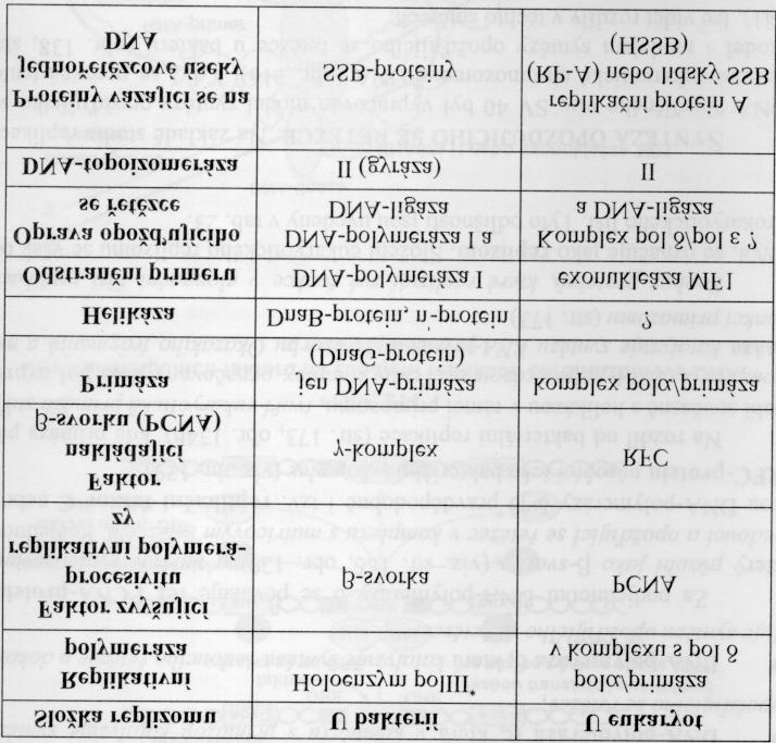 P4/17-1 Porovnanie zložiek replizómu prokaryotických a eukaryotických buniek Biologický význam kružnicových molekúl dsdna, spočíva v tom že sa zreplikujú celé,