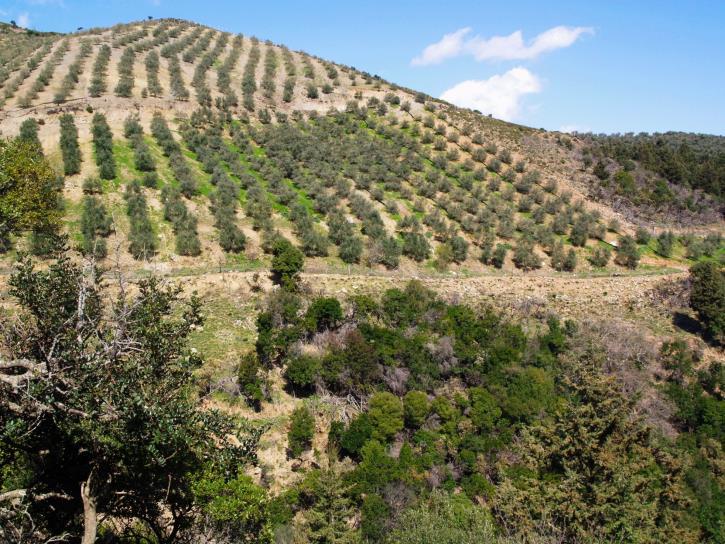 Κίνδυνοι Αντικατάσταση της