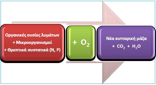 Δευτεροβάθμια επεξεργασία αστικών λυμάτων Αερόβια συστήματα επεξεργασίας λυμάτων o Η απομάκρυνση και η σταθεροποίηση της διαλυμένης και της σωματιδιακής οργανικής ύλης που βρίσκεται στα λύματα