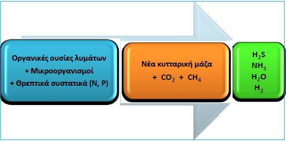 Δευτεροβάθμια επεξεργασία αστικών λυμάτων Αναερόβια συστήματα επεξεργασίας λυμάτων o Κατά την αναερόβια διεργασία η βιολογική αποικοδόμηση του οργανικού υλικού πραγματοποιείται απουσία οξυγόνου με τη