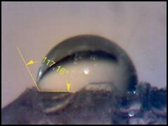 πρότυπο εσωτερικού φτερού σε PDMS Παρατηρούμε ότι το εσωτερικό φτερό του σκαθαριού