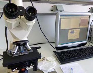 Παράρτημα Οπτικό μικροσκόπιο Carl Zeiss Μοριακή ταυτοποίηση μικροοργανισμών Συλλέχθηκαν δείγματα από την προσκολλημένη αυτότροφη καλλιέργεια και από τα ανεπεξέργαστα δείγματα των αποβλήτων