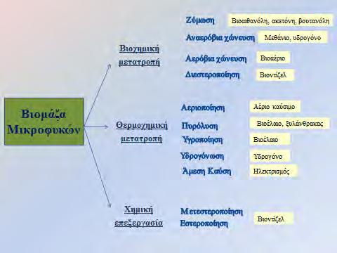 Εισαγωγή Η επιλογή των διαδικασιών μετατροπής της βιομάζας των μικροφυκών σε βιοκαύσιμα εξαρτάται σε μεγάλο βαθμό από το είδος της πρώτης ύλης της βιομάζας που χρησιμοποιείται (περιεκτικότητα σε