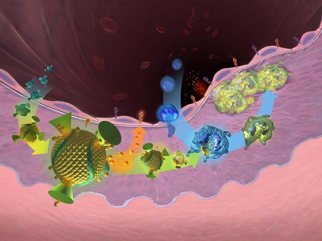 ΟΡόλοςτηςLp-PLA 2 στην Αθηροσκλήρωση LUMEN Adhesion molecules Monocytes Cytokines