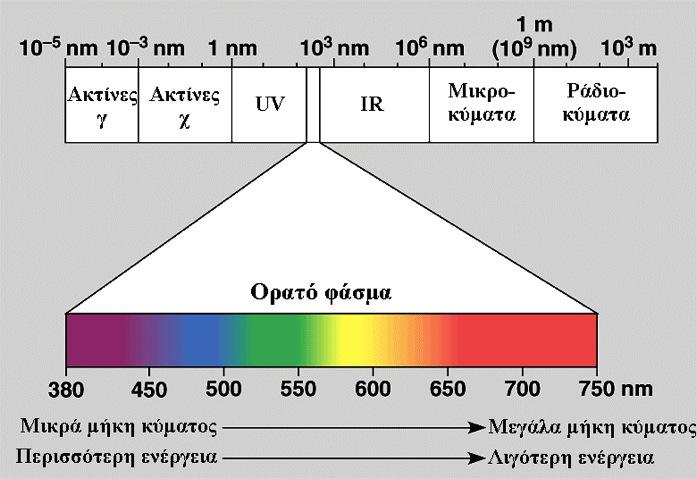 Το ορατό φάσµα,