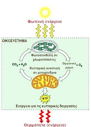 Ροή της ενέργειας σε