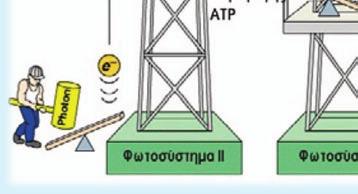 ηλεκτρόνια που «ανυψώνονται» ενεργειακώς και κατά την ελεγχόµενη «πτώση» τους