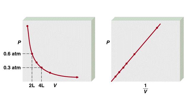 P.V = K P 1 V 1 =P 2 V 2 V1 P2 V2 = P1 أو وبالتالي يمكن كتابة: أو Boyle s Law P α 1/V P x V = constant P 1 x V 1 = P 2 x V 2 Constant temperature Constant amount of gas A sample of chlorine gas