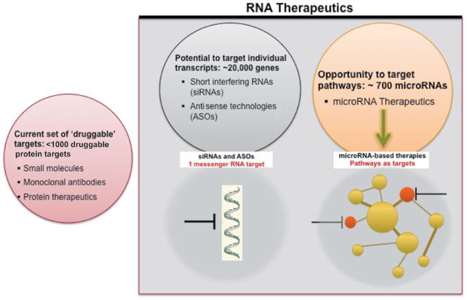 The RNA therapeutics opportunity.