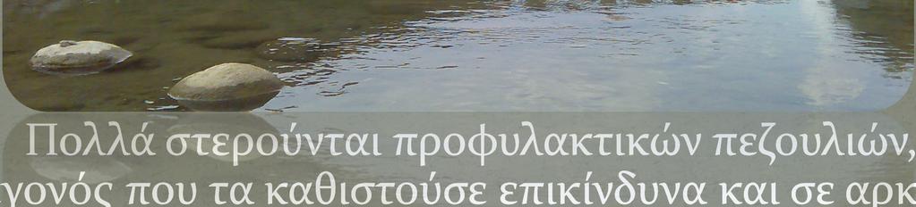 από αυτά κατασκευάστηκε