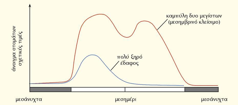 Απόκριση των στομάτων σε