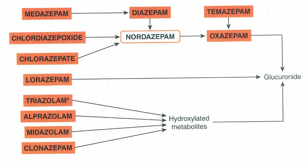 Diazepam 3 C 3 C F CS Jetra hidroksimidazolam midazolamglukuronid demetildiazepam Glukuronska kis Glucuronic Acid ksazepam Kratko-, srednje-i dugodelujući benzodiazepini.