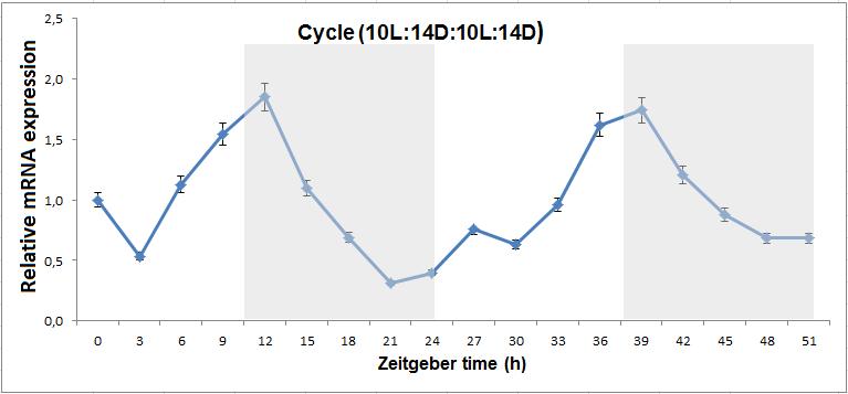 Ανάλυση της χρονικής έκφρασης του Snocycle (LD10:14).