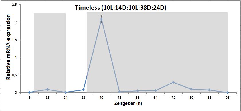 Εικ. 9. Ανάλυση χρονικής έκφρασης του Snοtim (L10:14D:10L:62D).