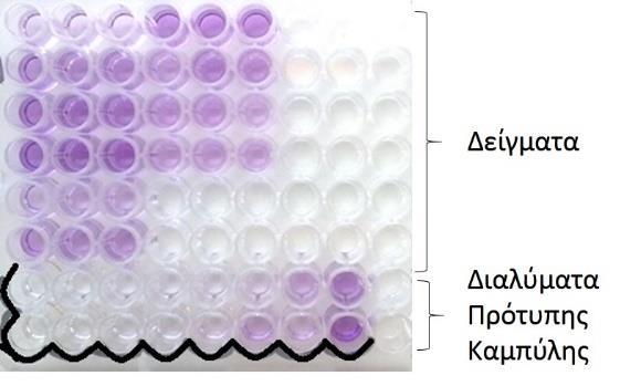 Η διαδικασία περιλαμβάνει την υδρόλυση των τριγλυκεριδίων από την LpL.
