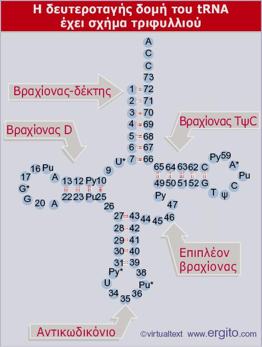 74-95 Nt Εικόνα 5.