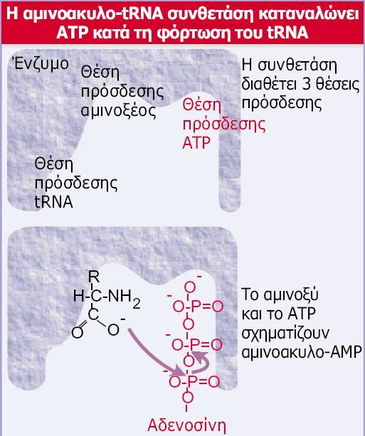 Προ-εναρκτήριες