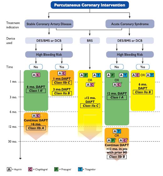 DAPT - PCI Σταθερή ΣΝ - DES /BMS/DCB 6 μήνες σε χαμηλού αιμορραγικού κινδύνου 3 μήνες σε υψηλού αιμορραγικού κινδύνου IIa 1μήνα σε ιδιαίτερα υψηλό κίνδυνο IIb > 6μηνών σε χαμηλό αιμορραγικό κίνδυνο
