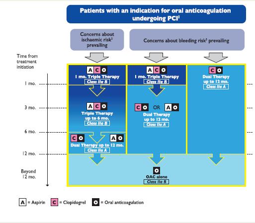 DAPT - PCI - OACs Κολπική Μαρμαρυγή Προσθετικές Μεταλλικές Βαλβίδες Θρομβοεμβολικά Επεισόδια (φλεβικό δίκτυο) DAPT+ OACs = Αιμορραγικός κίνδυνος x 3 Ανεξαρτήτως