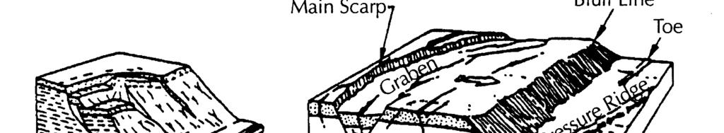 1994).