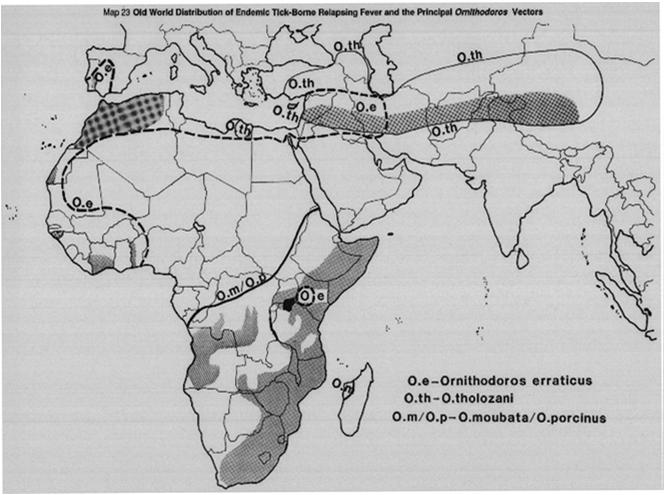 Μετάδοση Όλα τα είδη Borrelia που είναι υπεύθυνες για τον υπόστροφο πυρετό μεταδίδονται στα ζωϊκά υπόδοχα μέσω κροτώνων του γένους Ornithodoros