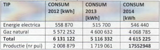 Secţiunea 7 Energie Raportand consumul energetic mediu la productia medie realizata (exprimata in nr.
