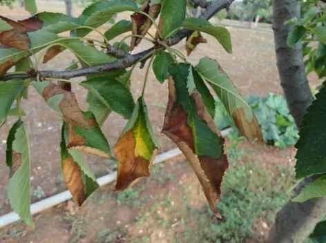 επικαιροποίηση (14-11-2017).