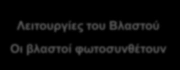 Στις περισσότερες περιπτώσεις η συμβολή της φωτοσυνθετικής δραστηριότητας του βλαστού στη συνολική φωτοσυνθετική δραστηριότητα του φυτού δεν είναι σημαντική,