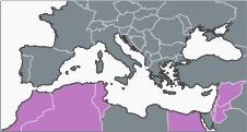 3. Προκήρυξη Ευρωπαϊκών Βραβείων για Σχέδια Αειφόρου Αστικής Κινητικότητας Εν προκειμένω, το πρόγραμμα Euro-Med για τη νεολαία προσφέρει στις 12 χώρες εταίρους της Μεσογείου προνομιακή θέση στο