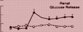 την παραγωγή γλυκόζης από τους νεφρούς Παραγωγή γλυκόζης
