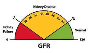 κινδύνου Am J Kidney