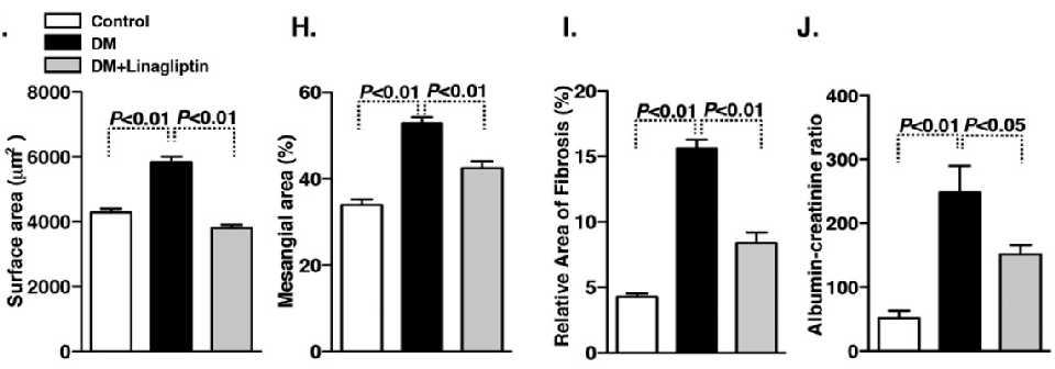Linagliptin-Mediated DPP-4 Inhibition Ameliorates Kidney Fibrosis in StreptozotocinInduced Diabetic