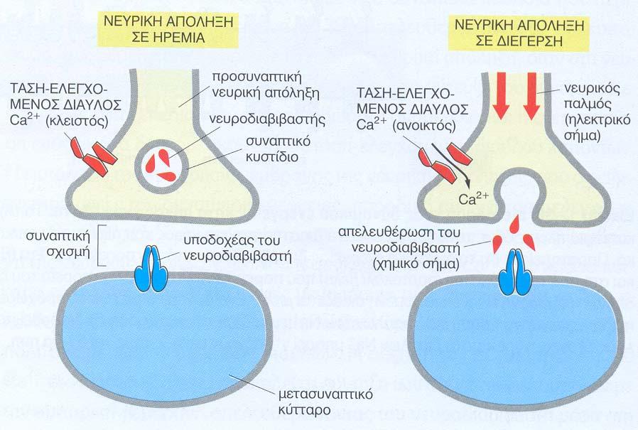 του ηλεκτρικού σήματος σε χημικό μέσω Μετατροπή του σήματος σε μέσω των τάση-