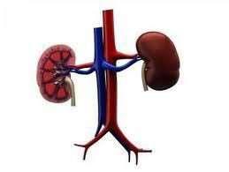 Interventional