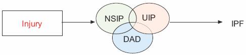 Idiopathic UIP and idiopathic NSIP, sharing a common clinical