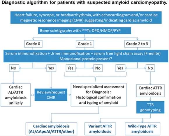 diseases" of the European Society of Cardiology Endorsed by The Indian Academy of